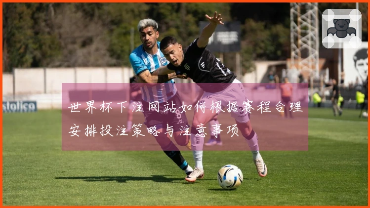 世界杯下注网站如何根据赛程合理安排投注策略与注意事项
