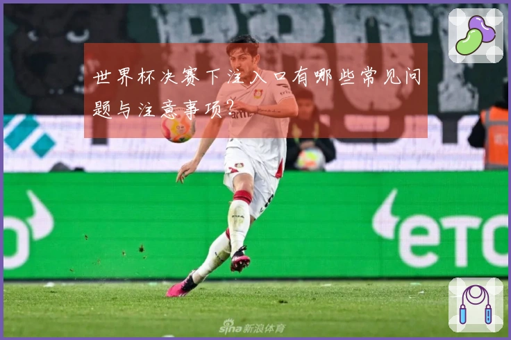 世界杯决赛下注入口有哪些常见问题与注意事项？