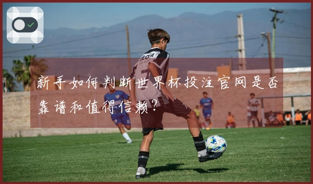 新手如何判断世界杯投注官网是否靠谱和值得信赖？