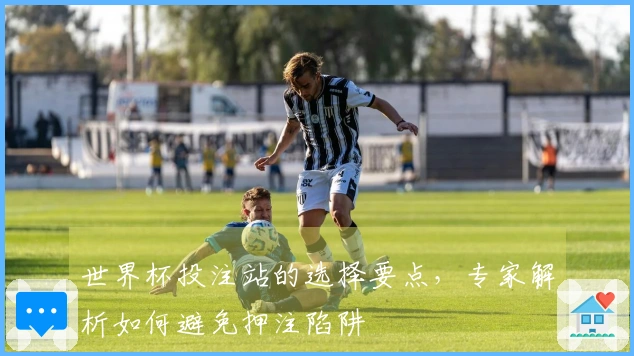 世界杯投注站的选择要点，专家解析如何避免押注陷阱