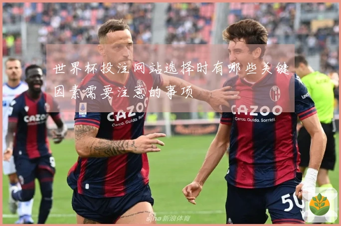 世界杯投注网站选择时有哪些关键因素需要注意的事项