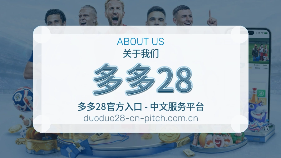 关于 多多28 团队